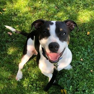 Meet your Posher, Kelsey